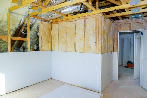 Best DIY Insulation Kits and Guidance in Georgiana, AL