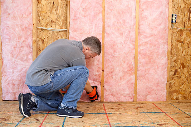 Professional Insulation Contractor in Georgiana, AL
